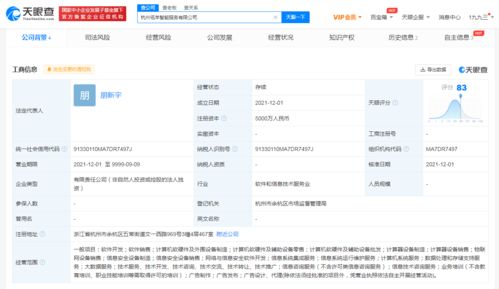 阿里新设智能服务公司，拓展大数据与信息技术咨询业务