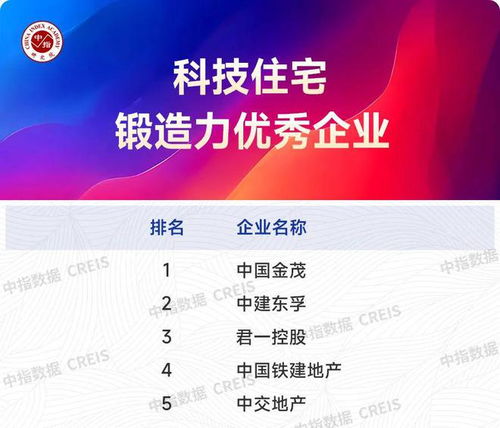 2025上半年主要省市房地产市场地位领先企业信息技术咨询服务分析